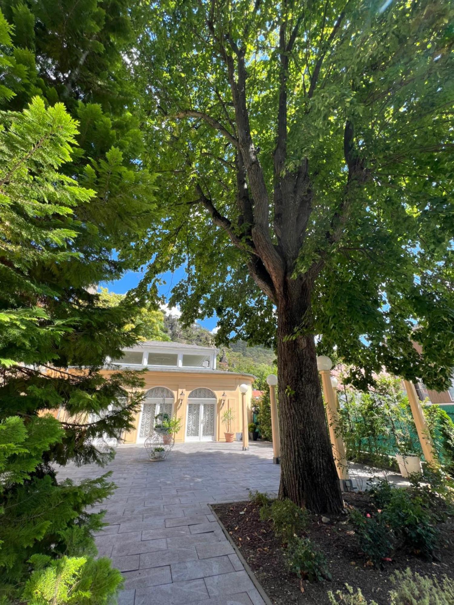 Wienerwald Residenz Baden Bagian luar foto
